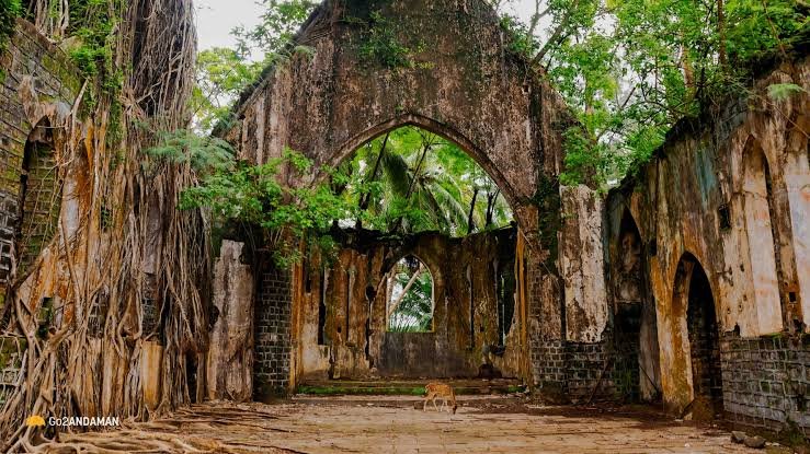 Netaji Subhas Chandra Bose Island Day Trip from Port Blair