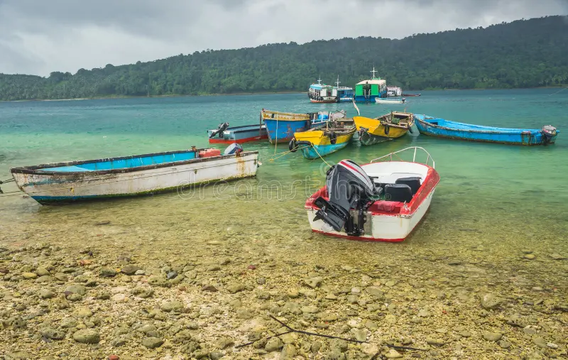 North Bay Island Guide for Snorkelling and Water Activities