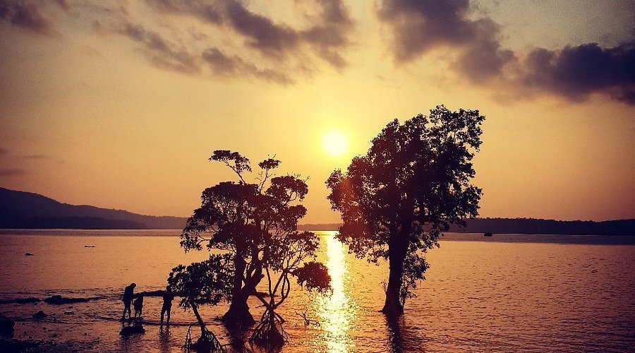 Chidiya Tapu Sunset Trip from Port Blair: A Complete Planning Guide